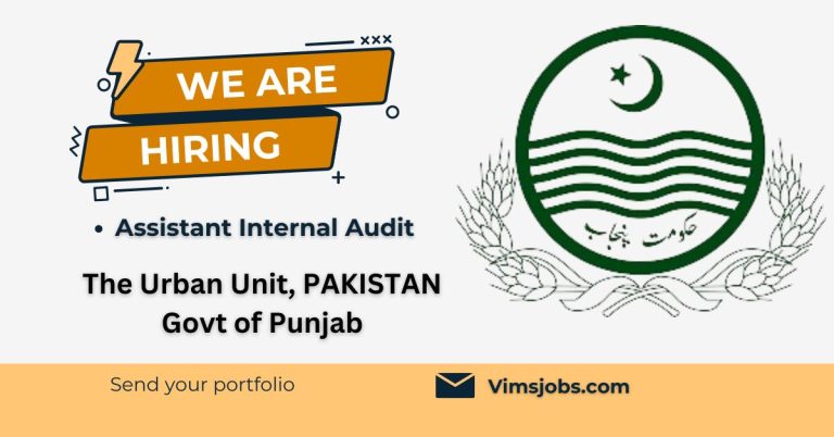 Assistant Internal Audit