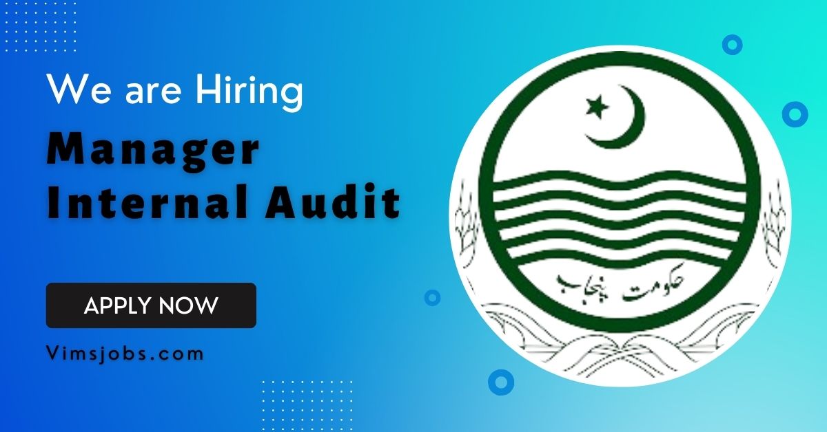 Manager Internal Audit