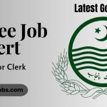 Junior Clerk