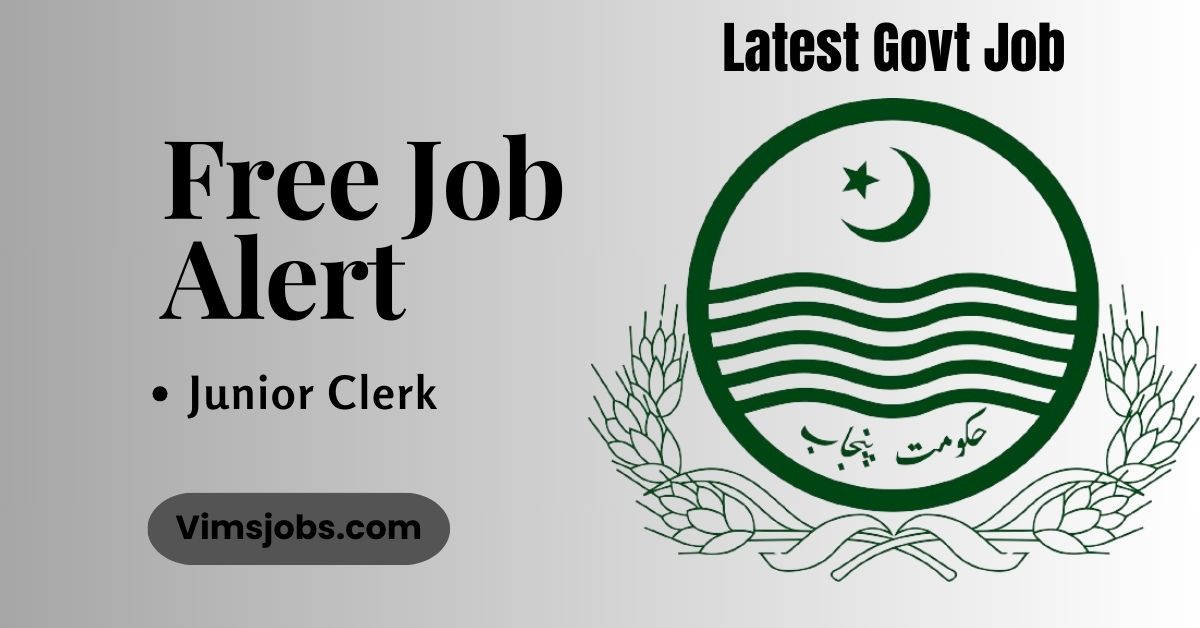 Junior Clerk