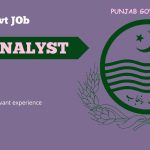 Data Analyst